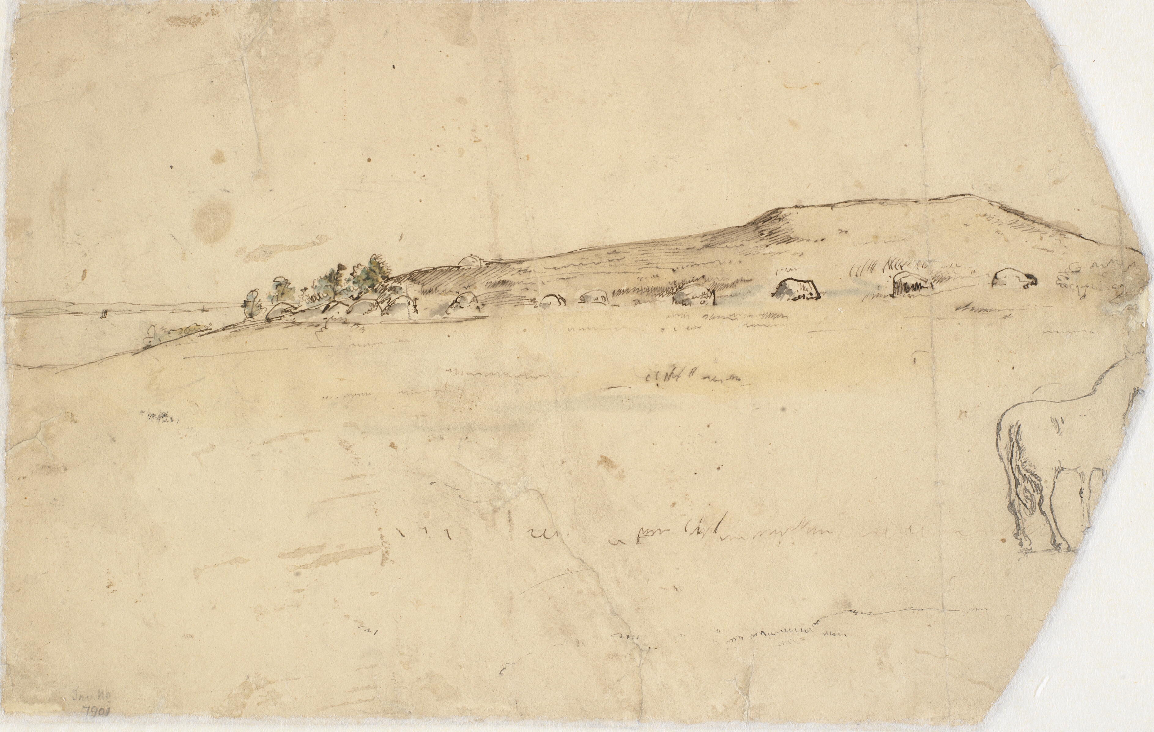 Landskab (fra Brandsø?) med kæmpehøje